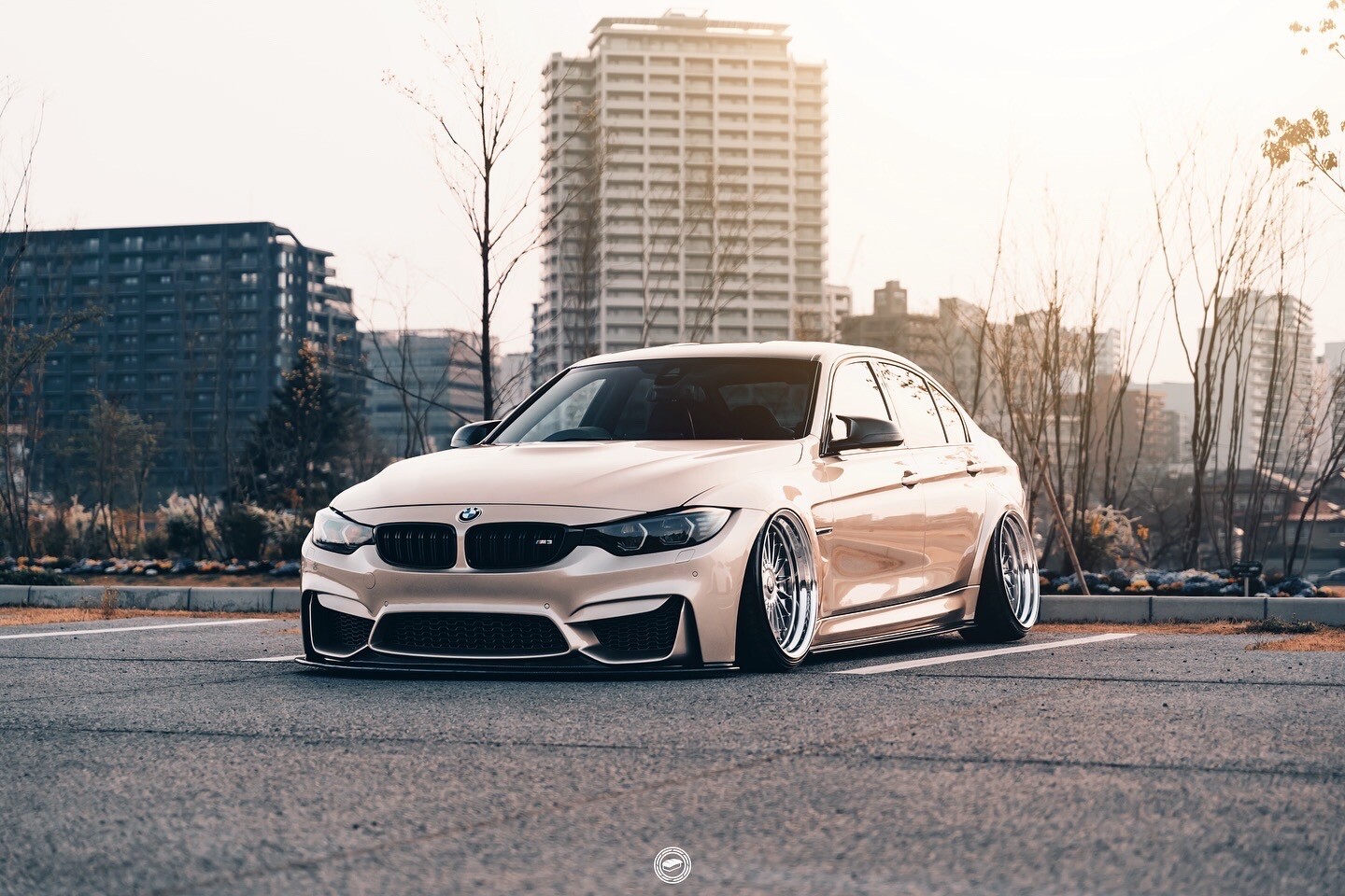 F80M3-kazu@badger dogs