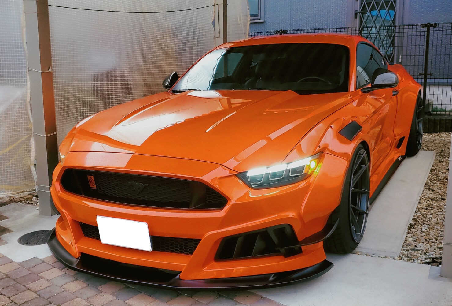 マスタング-ふみやん